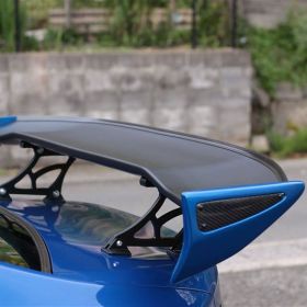 Rasty 3D GT Wing 